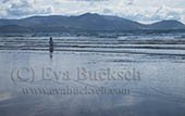 Foto av Eva Bucksch